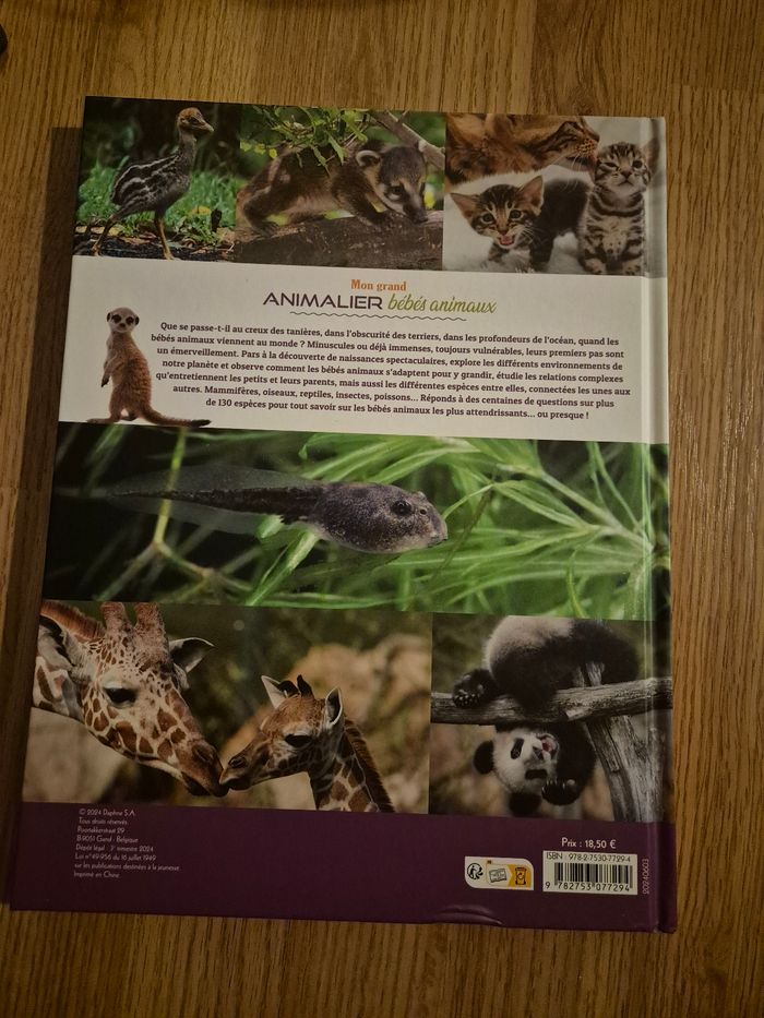 Livre mon grand animalier bébés animaliers Neuf - photo numéro 2