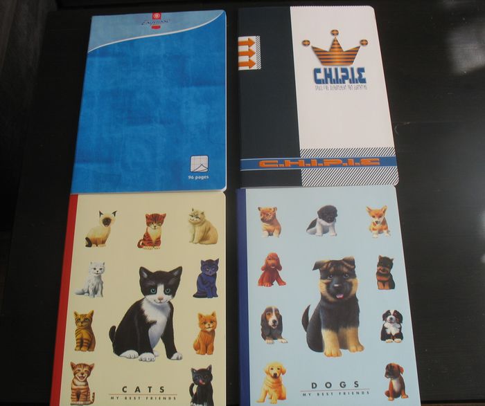 LOT DE 4 GRANDS CAHIERS - 96 PAGES - NEUF - n°51