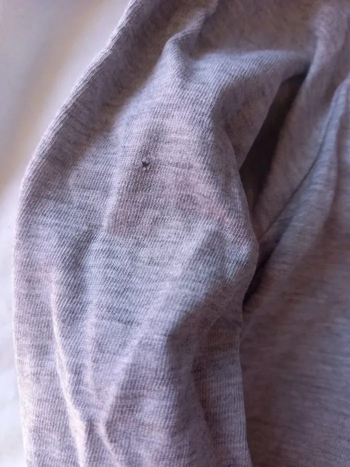 Tee-shirt - photo numéro 4