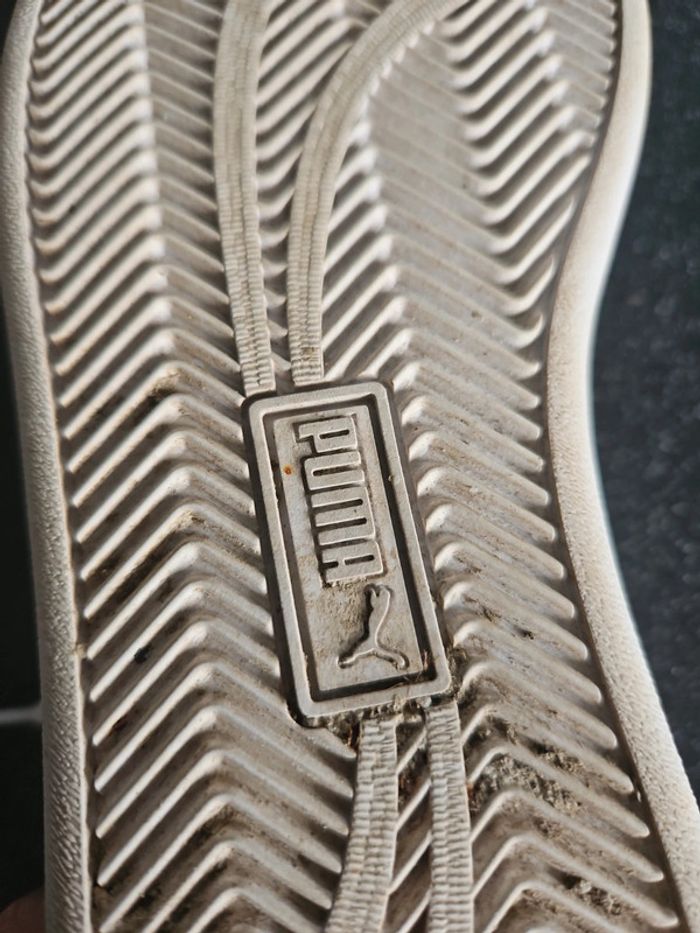 Chaussures Puma homme taille 41/42 cont4 - photo numéro 11