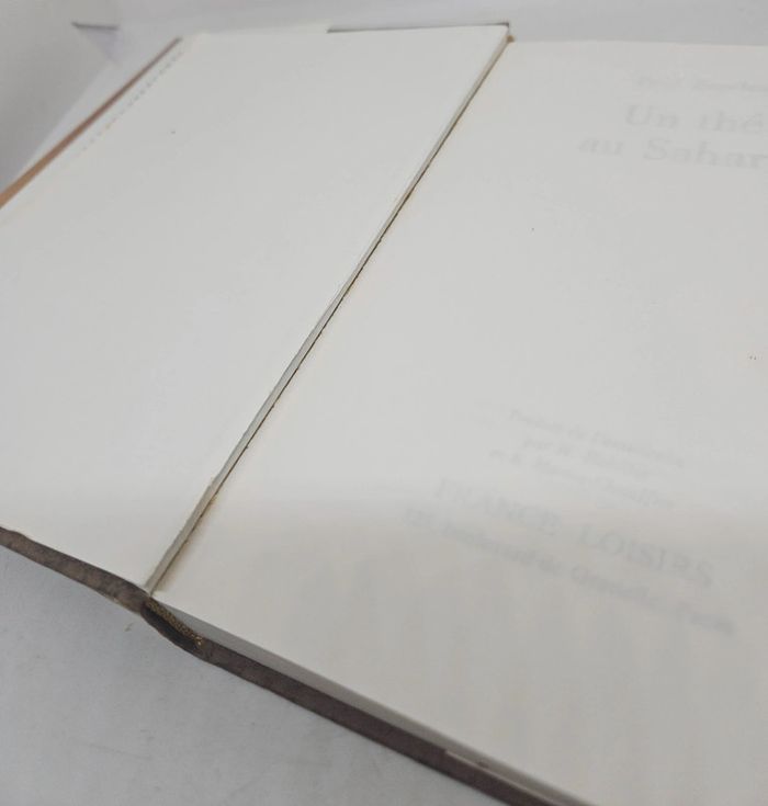 "Un thé au Sahara", de Paul Bowles.
296 pages.
ISBN : 2.7242.6003.1 - photo numéro 4