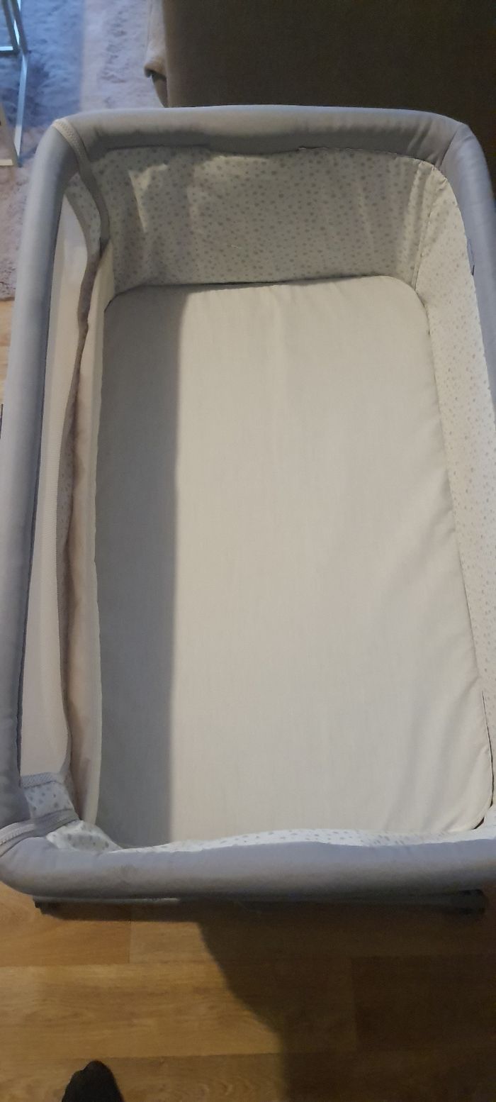 Cododo chicco next to me - photo numéro 3