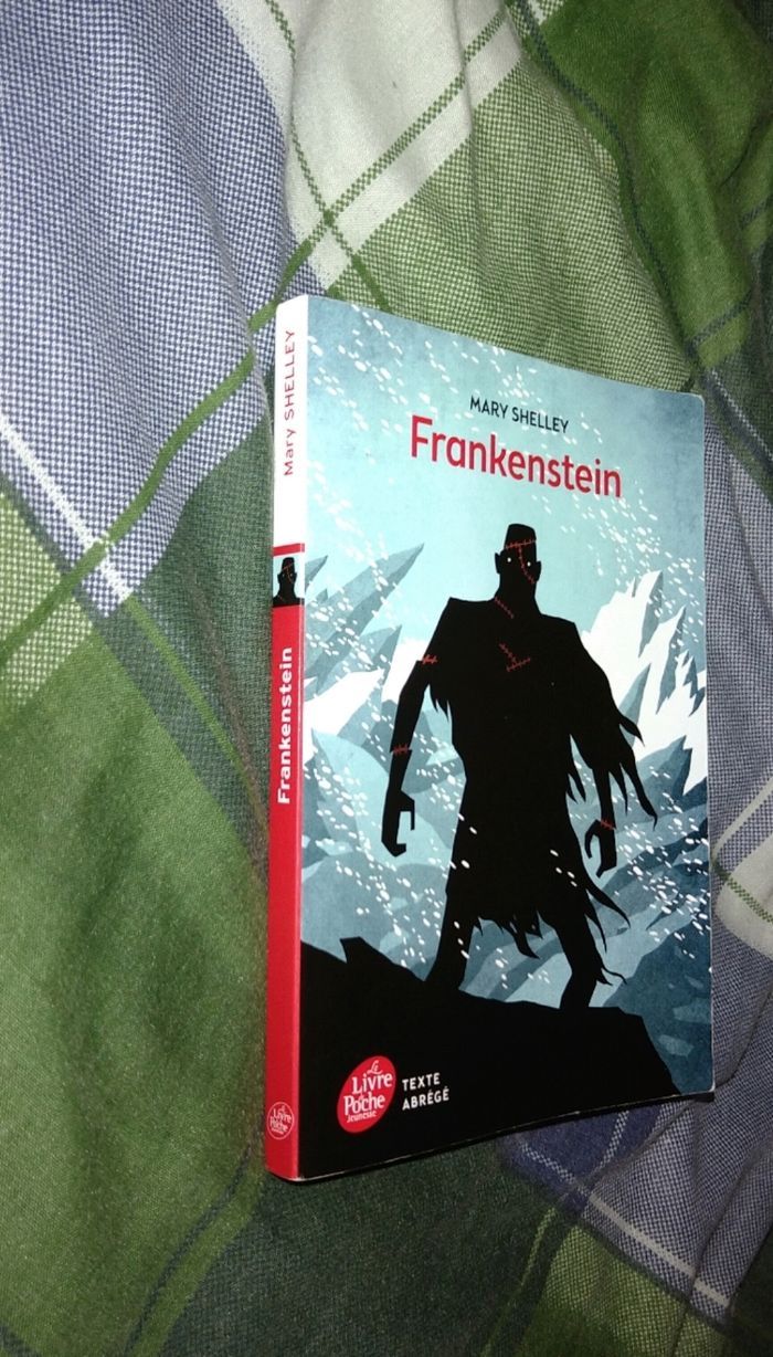 Livre Frankenstein Mary Shelley - photo numéro 2