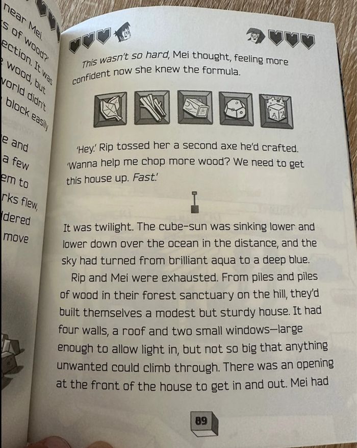 Livre en anglais Pixel Raiders - photo numéro 3