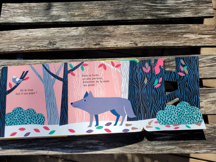 Très joli livre à volets, éditions Sarbacane, Et toi, où tu fais caca? - photo numéro 12