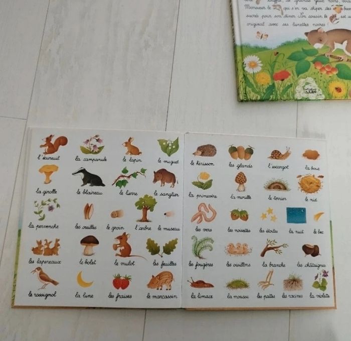 Lot de deux livres je lis - photo numéro 7