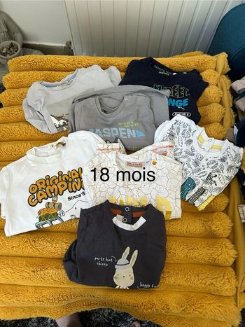 Lot de t-shirt orignal marine