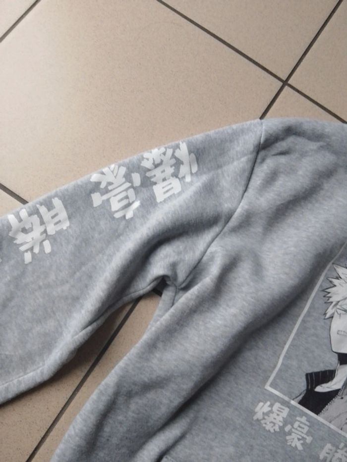 Pull a capuche - photo numéro 3
