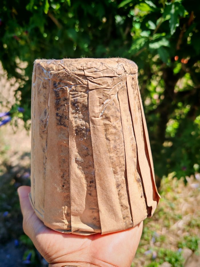 Savon noir - photo numéro 2