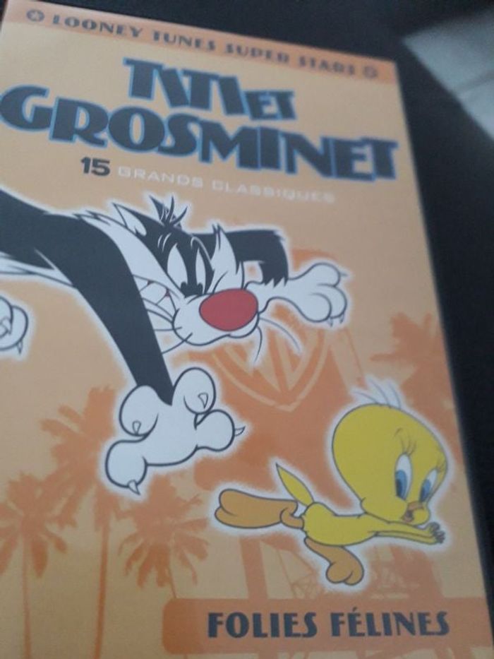 Titi et Grosminet