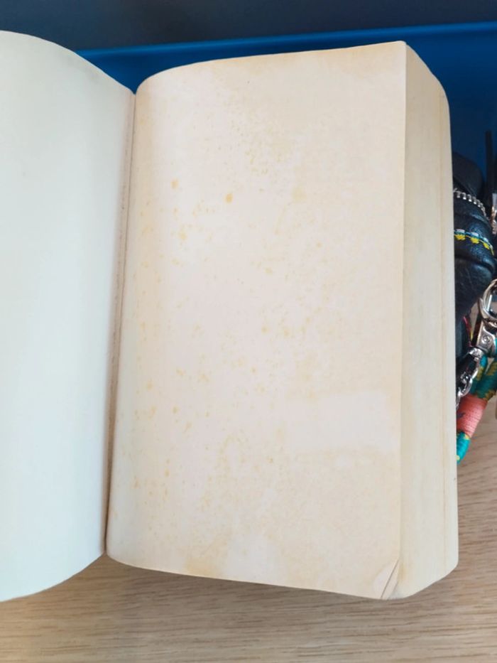Livre Tout le bleu du ciel Mélissa Da Costa - photo numéro 3
