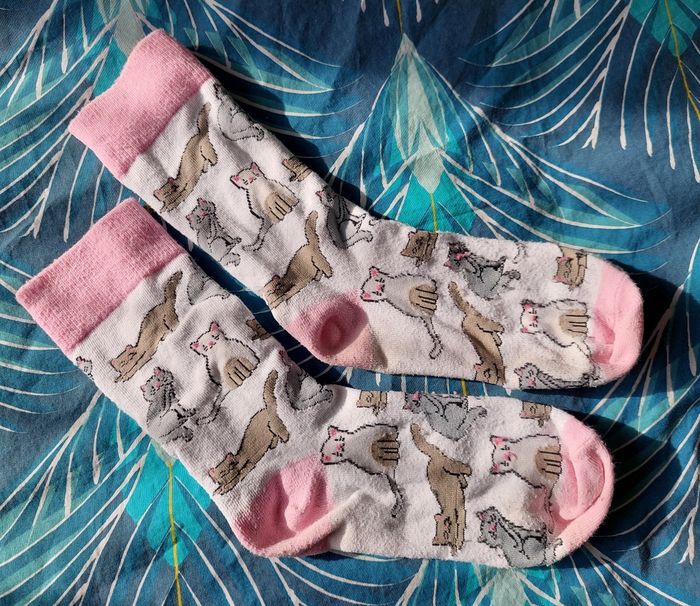 Chaussette chats 35-38