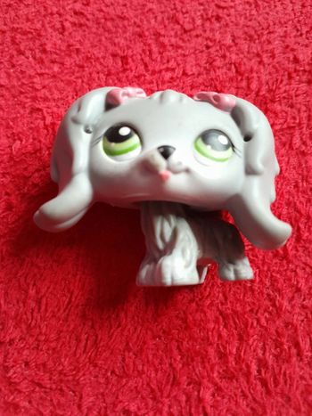 Figurine Petshop Annonce 13