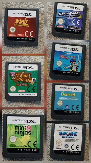 Jeux Nintendo DS