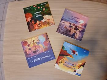 Lot 4 livres Mac Do