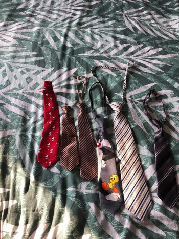 Lot 6 cravates garçons