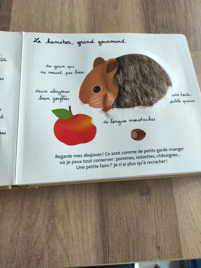 Livre : Mes animaux familiers à toucher - photo numéro 12