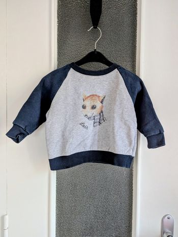 Sweat pull loir paris 36 mois gris et bleu