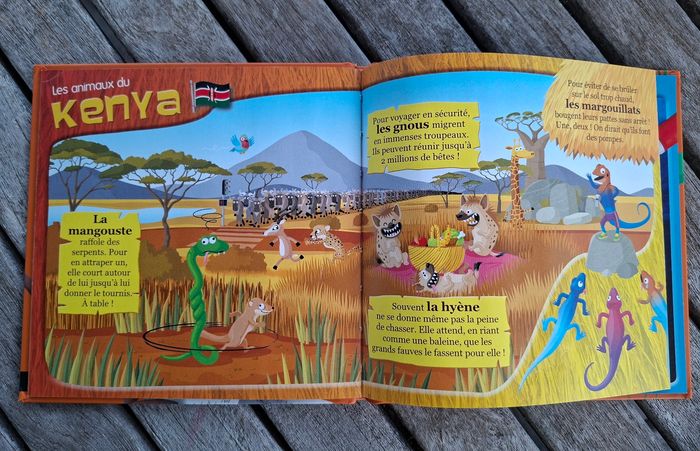 Livre sur les animaux les plus malins du monde - photo numéro 3