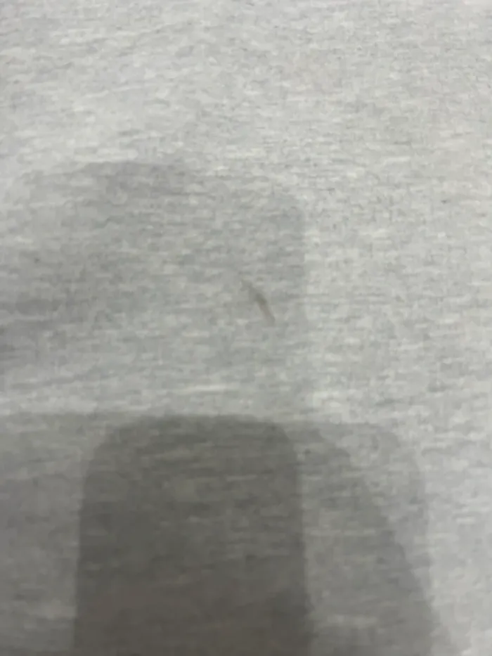 PLT sweatshirt - photo numéro 3