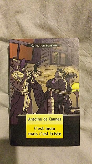 Livre d'Antoine de Caunes