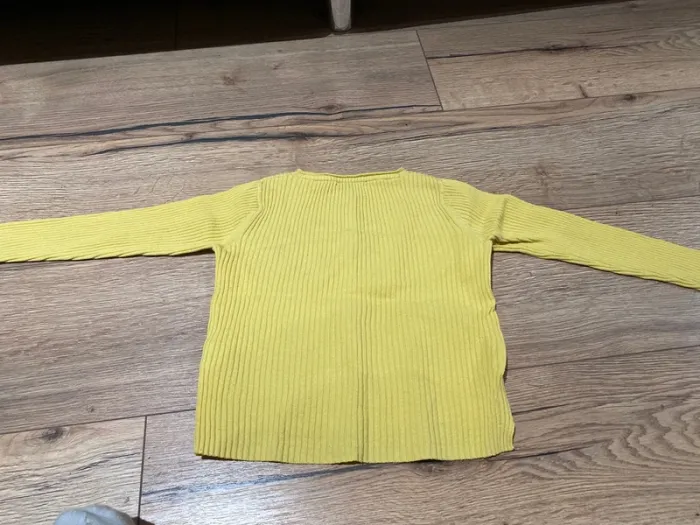 Gilet jaune - photo numéro 2