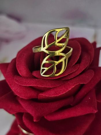 Bague double feuilles en acier inoxydable