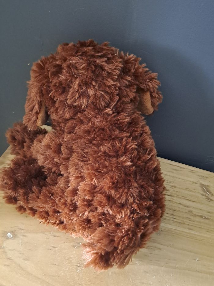 Chien brun toux doux - photo numéro 5