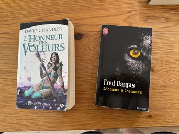 Lot 2 L’honneur des valeurs David Chandler Fred Vargas L’homme l’envers 9782811208936 9782290349236