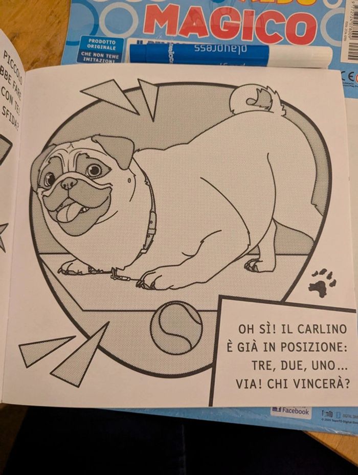 Livre de coloriage avec feutre magique Mike il carlino - photo numéro 3