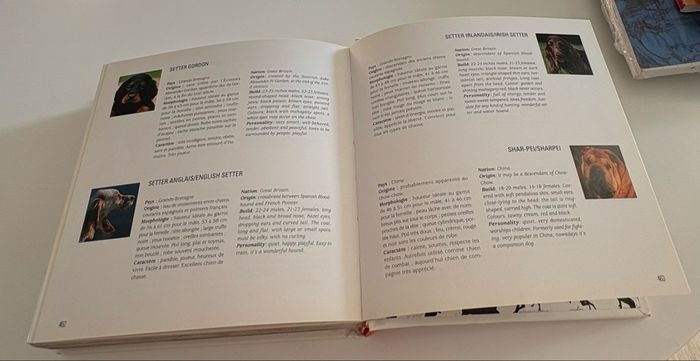 Livre Amours de chiens d’Adriano Bacchela - photo numéro 3