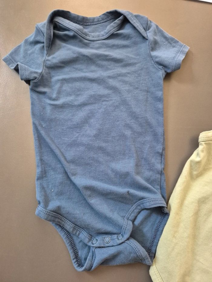 Bodys 6mois - photo numéro 3