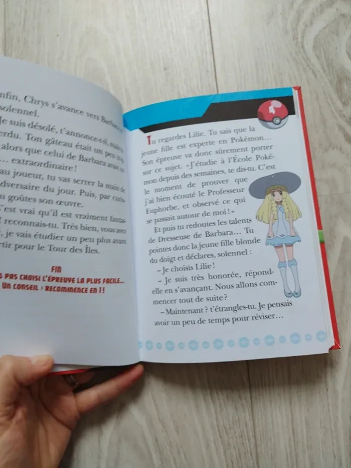Livre pokémon - photo numéro 2
