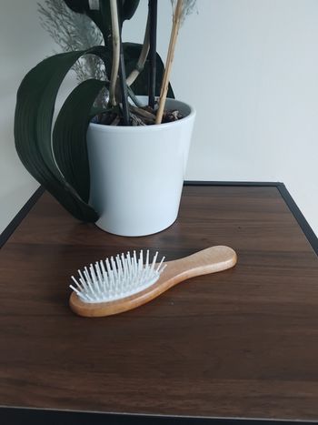 Brosse à cheveux manches en bois