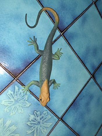 Lezard
