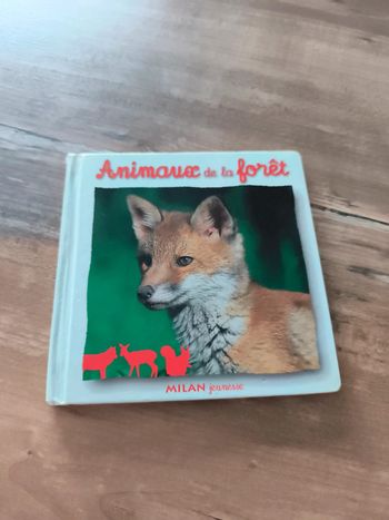 Livre photo