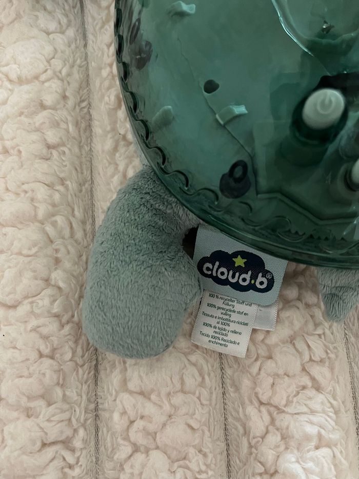 Tortue Cloud b verte - photo numéro 3