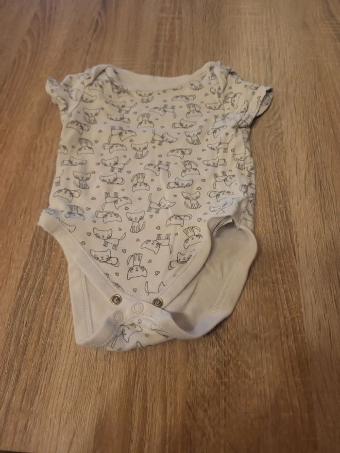 Lot 5 body - photo numéro 6