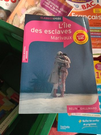 Livre l île des esclaves lu 1 fois
