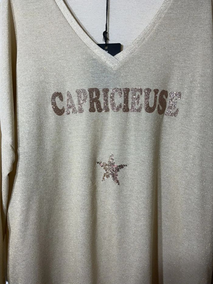 Sweat « capricieuse » femme taille unique (40-48)- vivichy - neuf avec étiquette - photo numéro 2