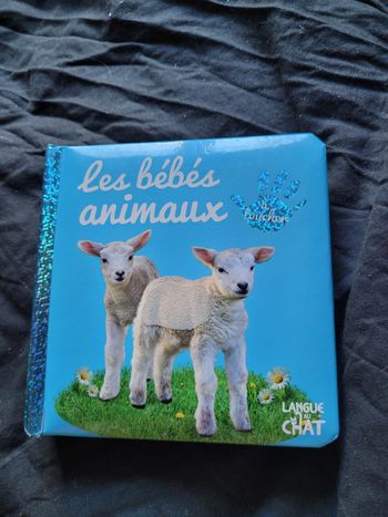 Les bébés animaux à toucher