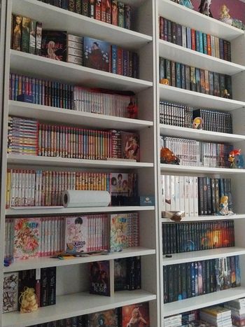 Vends un large choix de mangas Shojo Shonen Seinen