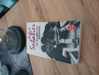 LIVRE LES ALLUMETTES SUEDOISE DE ROBERT SABATIER