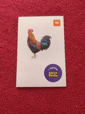 Carte nos amies les bêtes