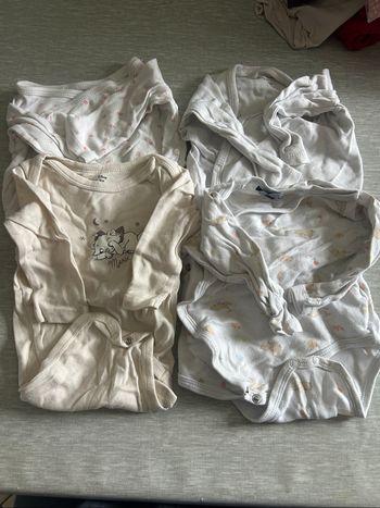 Lot 4 bodies