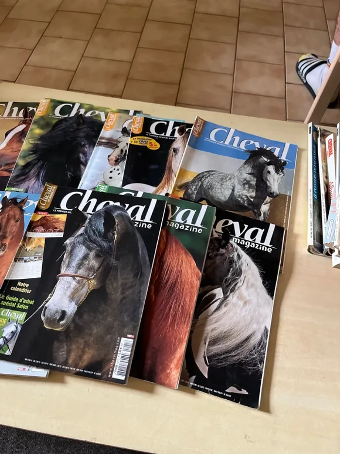 Lot de 10 anciens magazines sur les chevaux - photo numéro 2