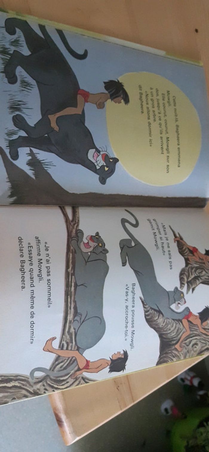 Le livre de la jungle - photo numéro 5