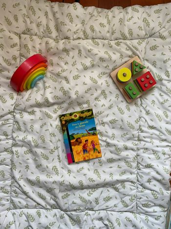 livre la cabane magique dans la gueule des lions tome 14