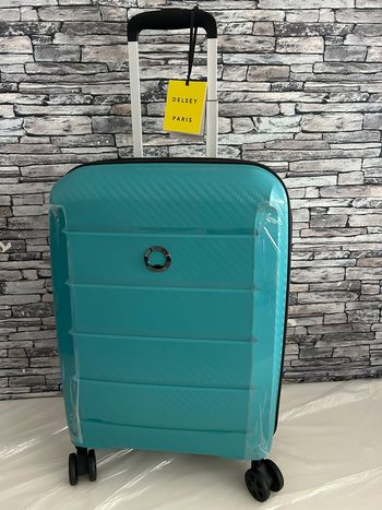 Valise delsey