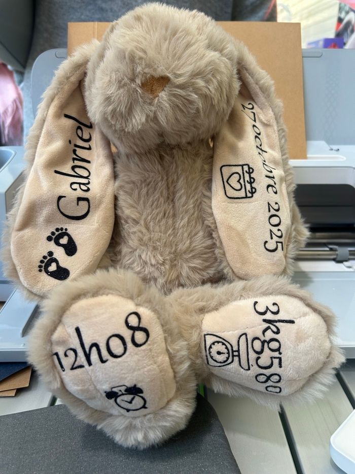 Lapin personnalisé - photo numéro 3